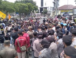 Setahun Kepemimpinan Bupati Jember, PMII Beri Rapot Merah
