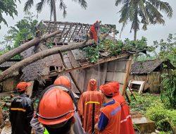 Angin Kencang Terjang Bondowoso, 7 Rumah Rusak dan 2 Pohon Tumbang