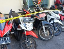 Polres Bondowoso Gerebek Judi Sabung Ayam, Motor Plat Merah Diamankan