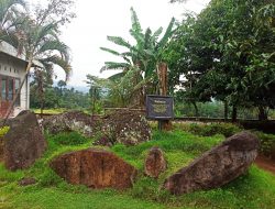 Ribuan Benda Purba Terpendam di Jember, Ini Ceritanya
