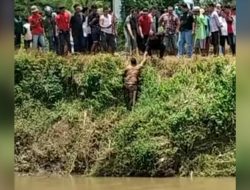 Maling Motor di Jember Kabur dan Ceburkan Diri ke Sungai hingga Polisi Kena Bogem, Begini Kronologinya