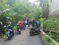 Pasca Jembatan Putus di Jember, Kades Bakal Bangun Jembatan Darurat