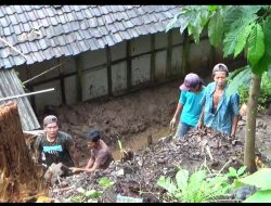 Hujan Deras Akibatkan Tebing di Jember Longsor, Satu Rumah Rusak
