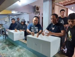Polisi Grebek Tempat Penangkaran 20 Ribu Baby Lobster di Jember