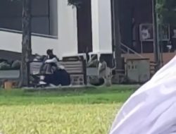 Viral Video Bermesraan di Bangku Depan Masjid Universitas Jember