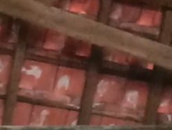 Banyak Ular Bersarang Di Atap SDN Suci 05, Siswa Belajar Di Ruangan Lain