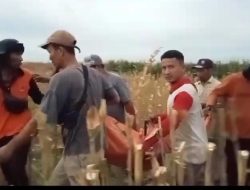 Lupa Jalan Pulang, Kakek di Wuluhan Ditemukan Tak Bernyawa di Dalam Sumur