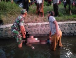 Warga Ajung Temukan Mayat Laki Laki Tanpa Identitas Mengambang Di Sungai