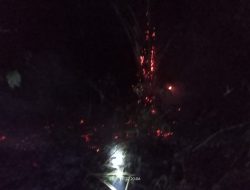 Gunung Besek Jember Terbakar, Satu Hektar Lebih Hutan Kayu Ludes