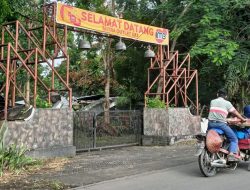 Hujan Deras Disertai Angin, Cafe di PG Semboro Tertimpa Pohon