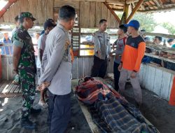 Wisatawan Cari Kerang Tewas Tersapu Ombak Pantai Payangan