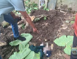 Saat Hendak Bangun Pagar, Warga Temukan Mayat Bayi Terkubur di Dalam Tanah, Polisi Langsung Amankan Pelaku
