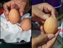 Ibu Rumah Tangga di Jember, Temukan Telur Ayam Berlafadzkan Allah
