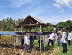 Uji Coba Pompa Air Tenaga Surya untuk Pertanian Ramah Lingkungan, Perkuat ketahanan pangan Berkelanjutan