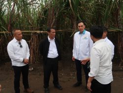 Target Swasembada Gula di 2027, Kementan Jadikan Tebu Komiditi Prioritas di Perkebunan