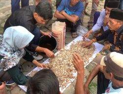 Tim Pengabdian Desa Binaan Unej, Latih Warga Banjarsengon ‘Sulap’ Limbah Kelapa Menjadi Pakan Ternak dan Pupuk