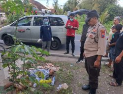 Gempar Warga Bangorejo, Temukan Mayat Tanpa Identitas Tergeletak Dekat Pasar