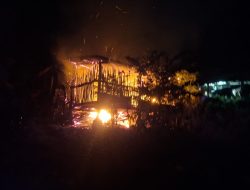 Kandang Terbakar, 9 Kambing Mati Terpanggang, Peternak di Banyuwangi Merugi Puluhan Juta