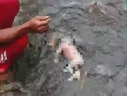 Warga Jubung Digegerkan Penemuan Mayat Bayi di Sungai Bedadung