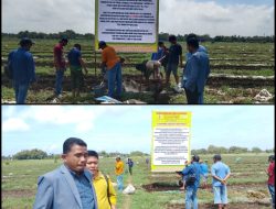 Disewakan Lagi Setelah Dilelang, Lahan TKD Milik Pemdes Umbulrejo Dipasangi Plang Pemenang Lelang