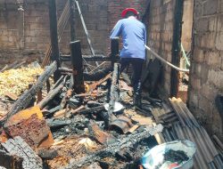 Tetangga Bakar Sampah, Rumah  Lansia di Banyuwangi Ludes Terbakar