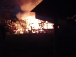 Kandang Ayam Terbakar, 4000 Ekor Mati Terpanggang