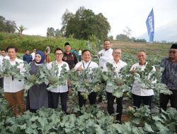 Menko Pangan RI Panen Brokoli hingga Ayam Petelur di Rumah Pangan PNM