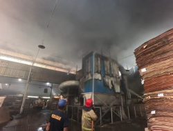 Pabrik Triplek di Banyuwangi Terbakar, Kerugian Puluhan Juta Rupiah