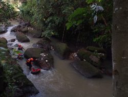 Diduga Hanyut di Sungai Gumirih Singojuruh, Buruh Tani Belum Ditemukan