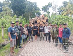 Polisi Temukan Ratusan Kayu Jati Diduga Ilegal di Bangorejo Banyuwangi