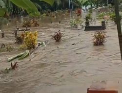 6 Makam di Desa Tegalsari Banyuwangi Ambles Terendam Banjir