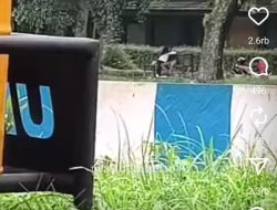 Berjilbab, Pasangan Sejoli Berbuat Mesum Siang Hari di Kampus Jember Terekam Kamera