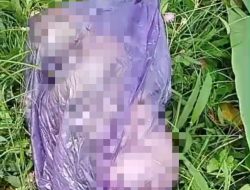Warga Desa Rejoagung dikejutkan dengan Penemuan Mayat Bayi Terbungkus Kresek Ungu di Sungai Bagorejo