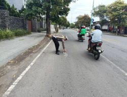 Pelajar 16 Tahun Tewas Tabrak Pohon di Banyuwangi