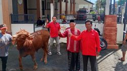 DPC PDI Perjuangan Banyuwangi Serahkan Hewan Kurban ke Ponpes, Masjid dan Panti Asuhan