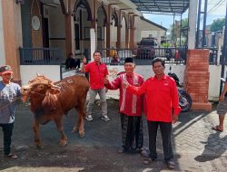 DPC PDI Perjuangan Banyuwangi Serahkan Hewan Kurban ke Ponpes, Masjid dan Panti Asuhan