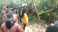 Geger Penemuan Kerangka Manusia di Kalisat, Identitas Korban Diduga Asal Ambulu