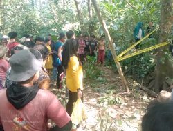 Geger Penemuan Kerangka Manusia di Kalisat, Identitas Korban Diduga Asal Ambulu