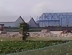 Perluas Bangunan, Perusahaan Mitra Bulog Diduga Langgar LP2B