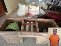 Warga Pesanggaran Pergoki Tetangga Curi 151 Kg Buah Naga, Digelandang ke Polisi