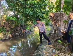 Lansia Pikun di Banyuwangi Ditemukan Meninggal Tengkurap di Sungai Belakang Rumah