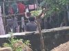 Geger Maling Celdam Wanita Hantui Rumah warga di Sempu Banyuwangi
