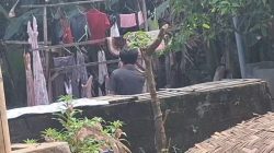 Geger Maling Celdam Wanita Hantui Rumah warga di Sempu Banyuwangi