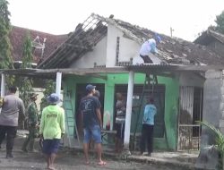 Puting Beliung Terjang Purwoharjo Banyuwangi, 12 Rumah Rusak dan Pohon Tumbang Timpa Bangunan