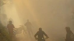 Kebakaran Merapi Ungup-Ungup Meluas, Api Tembus Kawasan TWA Kawah Ijen