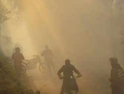Kebakaran Merapi Ungup-Ungup Meluas, Api Tembus Kawasan TWA Kawah Ijen