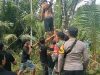 Pria 29 Tahun di Sempu Banyuwangi Ditemukan Meninggal di Pohon Rambutan