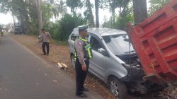 Xenia Terguling di Ladang Cabai Usai Hantam Drainase di Kalibaru Banyuwangi