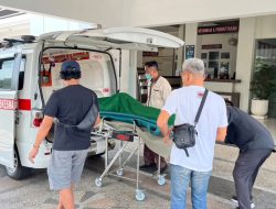 Diduga Pelaku Percobaan Pencurian Jeruk di Banyuwangi Tewas Dimassa