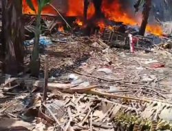 Kandang Sapi Terbakar di Banyuwangi, 5 Ekor Ternak Berhasil Diselamatkan